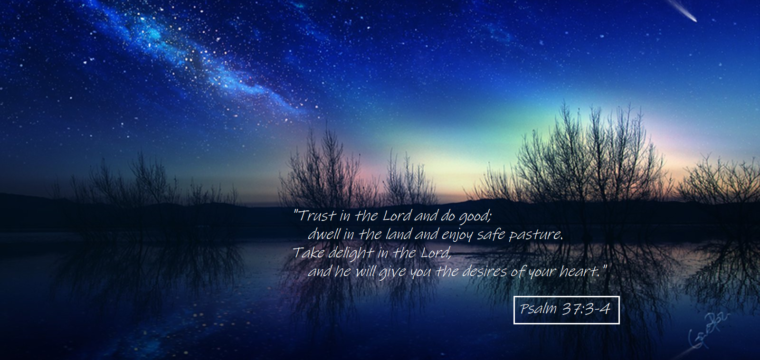 Trust In The LORD…