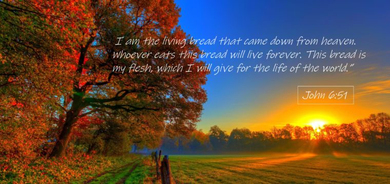 Bread Of Life…