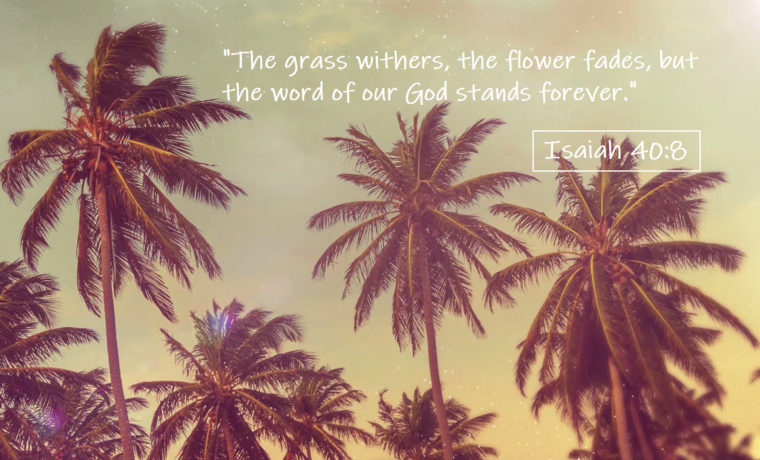 God’s Word Stands Forever…