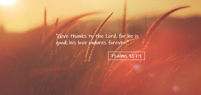 Give Thanks…