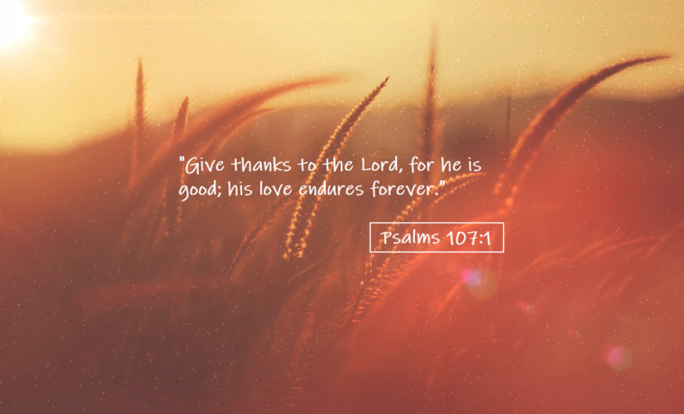 Give Thanks…